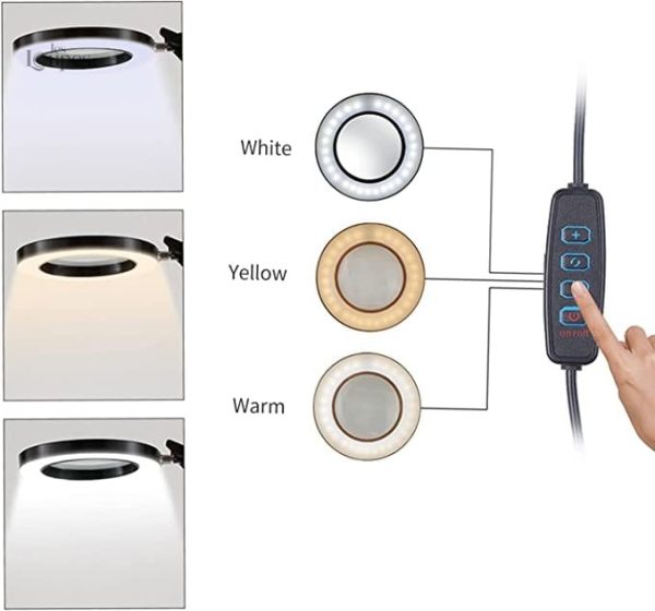 Lampe-loupe adaptée pour la lecture et les travaux minutieux